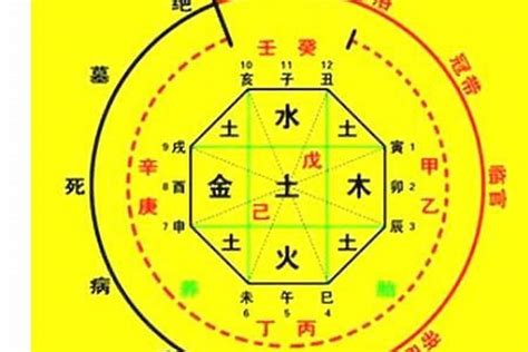 命中喜水|什么样的八字喜水 – 八字喜水人的特征